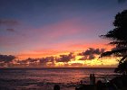 IMG 7957