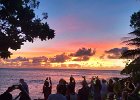 IMG 7964