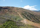 IMG 1788