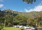 IMG 8264