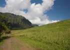 IMG 8351