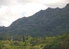 IMG 8475