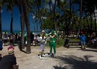 IMG 2667