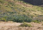 IMG 1125