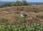 IMG 1144