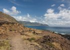 IMG 1146