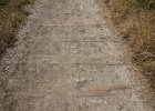 IMG 1184
