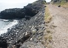 IMG 1222
