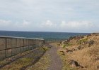 IMG 1299