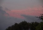 IMG 1415