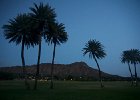 IMG 2292