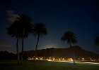 IMG 2310
