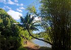 IMG 3344