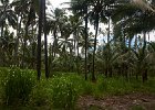 IMG 3875