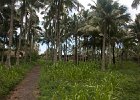 IMG 3889