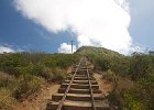 IMG 1020