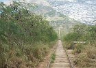 IMG 1115