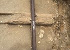 IMG 6895