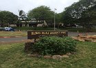 IMG 6904