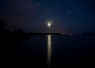 IMG 0738