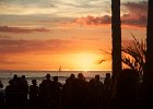 IMG 5248