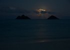 IMG 2818