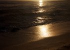 IMG 2592