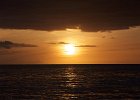 IMG 2612