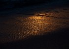 IMG 2619