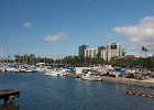 IMG 0459