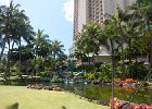IMG 0510