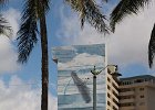 IMG 0520