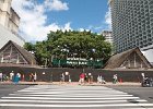 IMG 0624